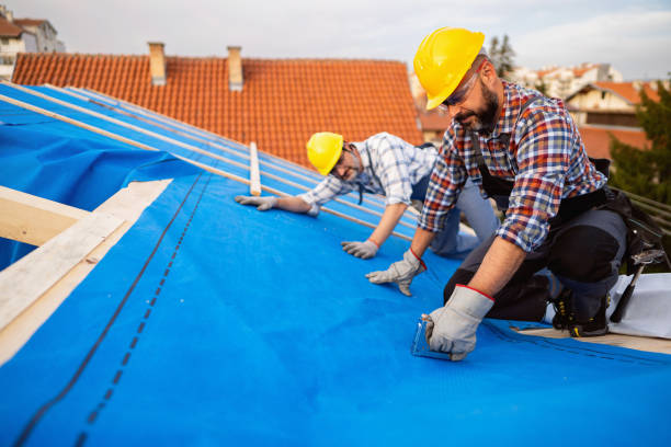 Best Chimney Flashing Repair  in Collierville, TN